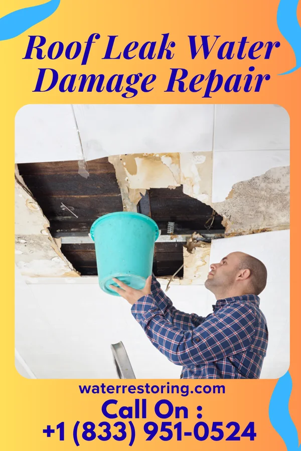 Roof Leak Water Damage Repair in Zumbro Falls, MN